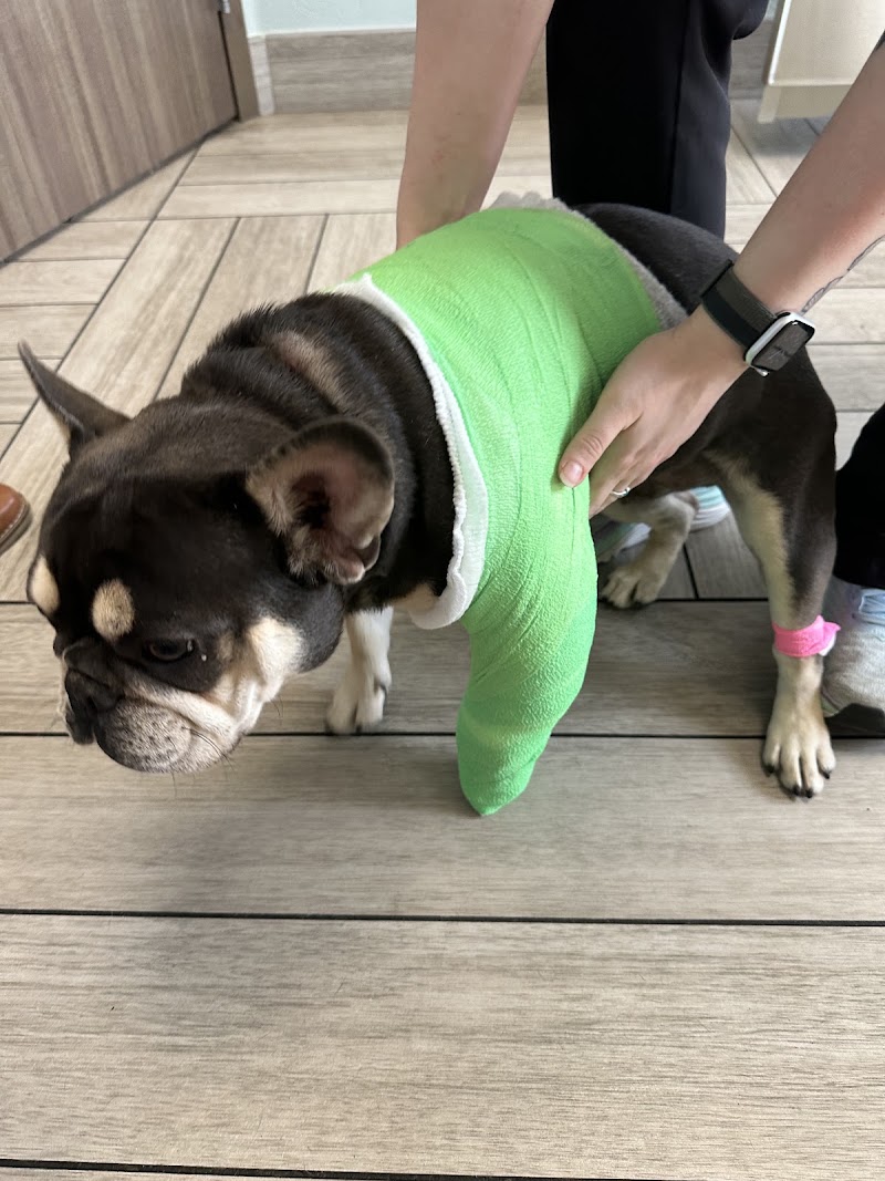 BluePearl Pet Hospital