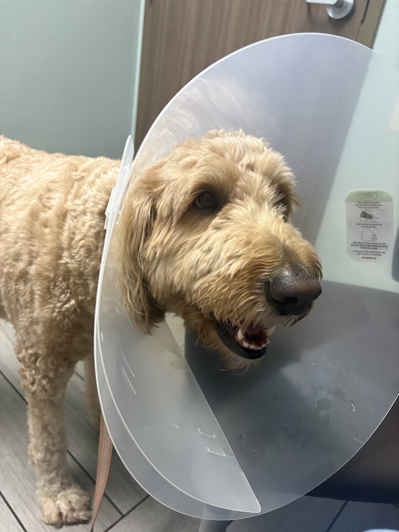 BluePearl Pet Hospital