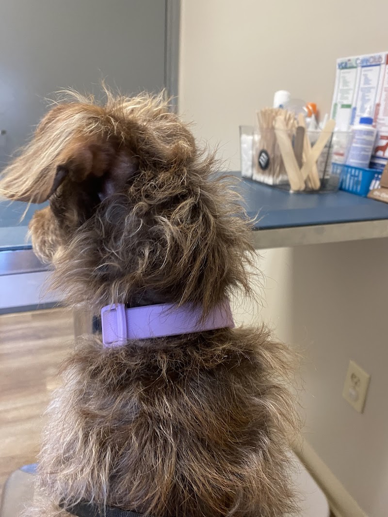 VCA Henderson Pass Animal Hospital