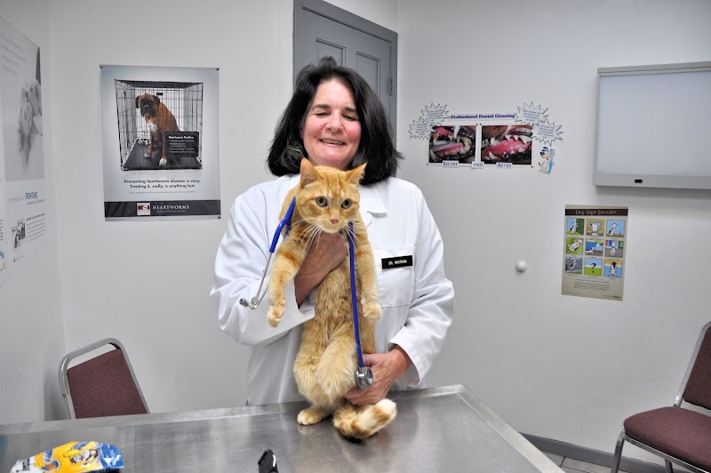 Animal Medical Clinic (St. Paul)