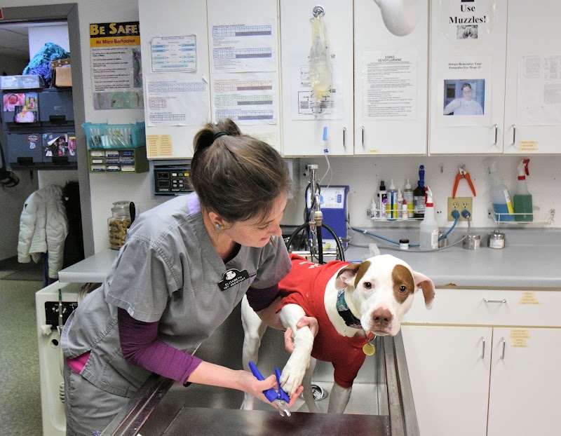 Animal Medical Clinic (St. Paul)