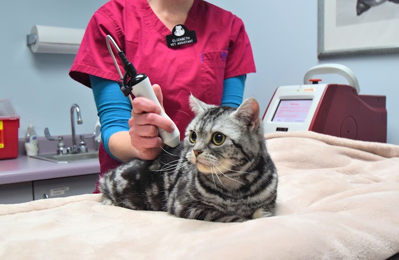 Animal Medical Clinic (St. Paul)