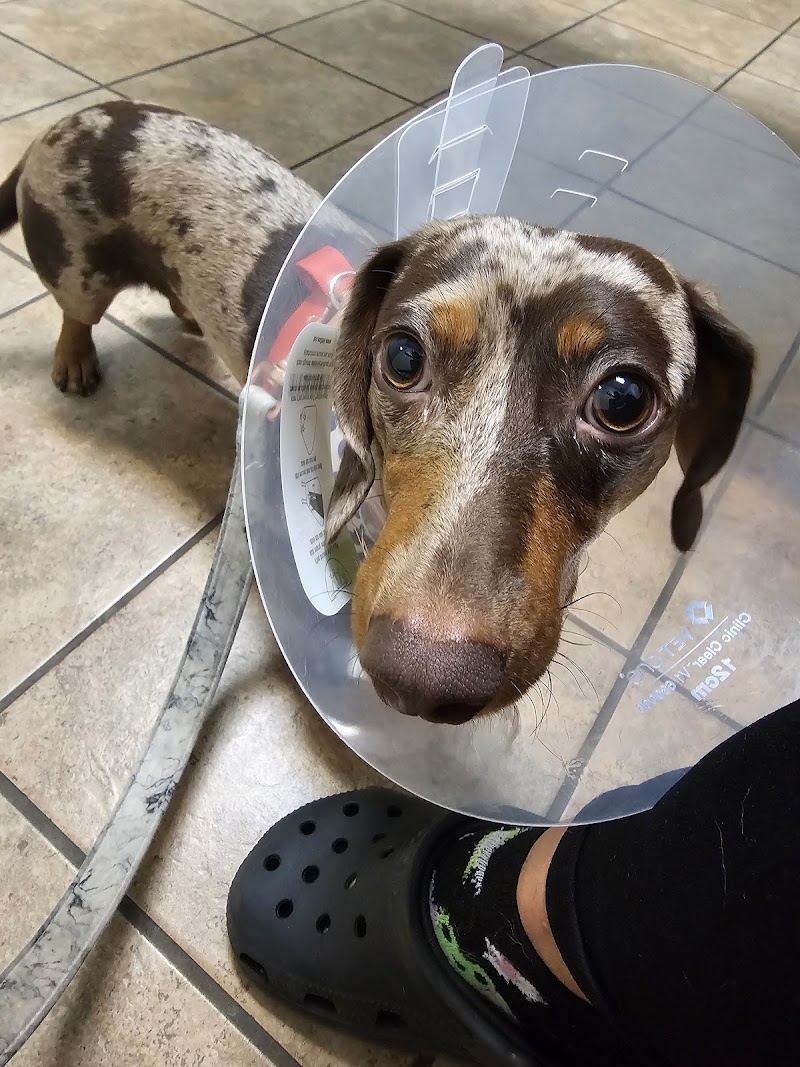 VCA Oak Hills Animal Hospital