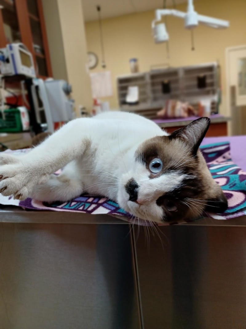 VCA Oak Hills Animal Hospital