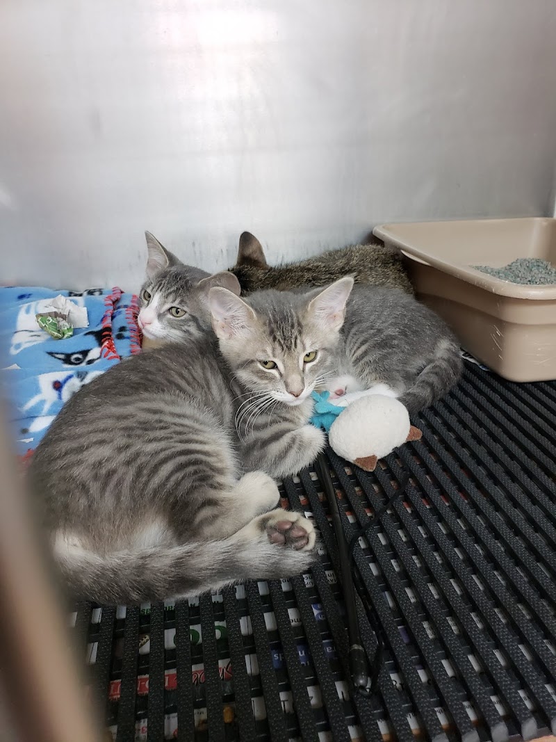 Fairbanks Animal Clinic