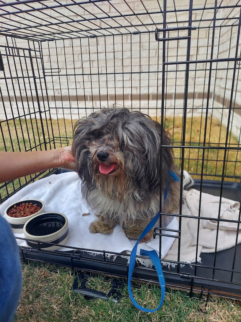 Fairbanks Animal Clinic
