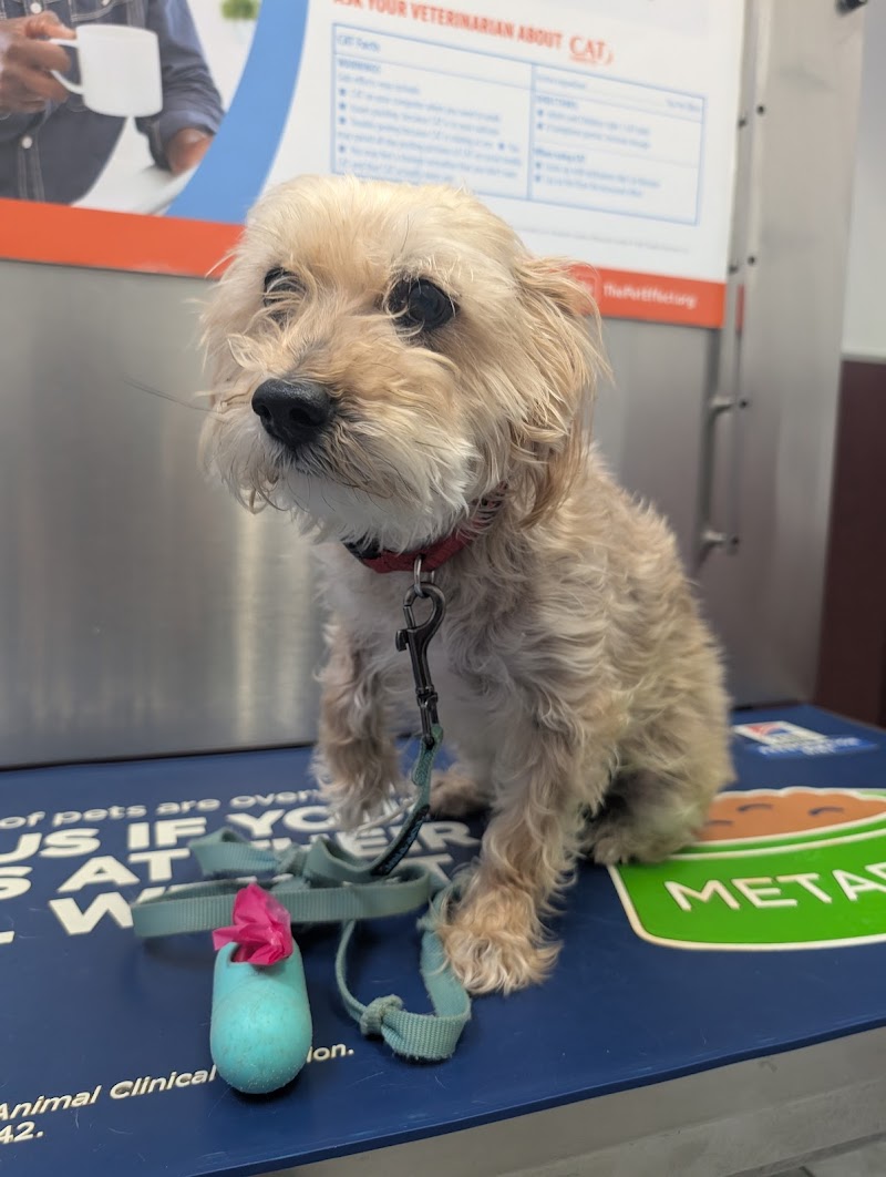 Fairbanks Animal Clinic