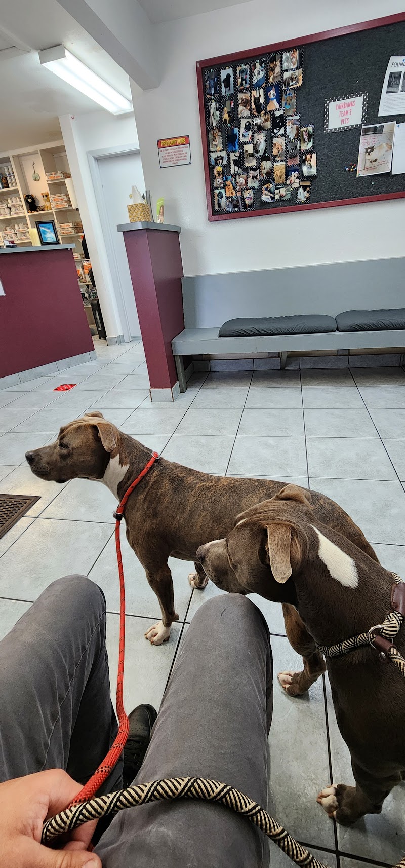 Fairbanks Animal Clinic