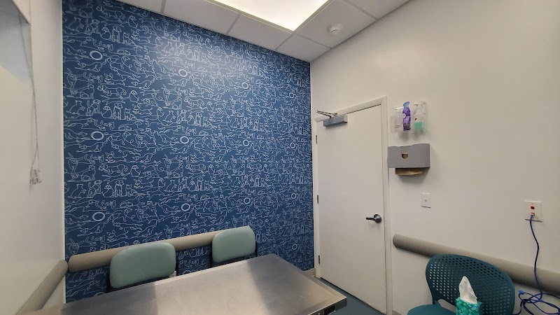 Thrive Pet Healthcare Specialists Miami