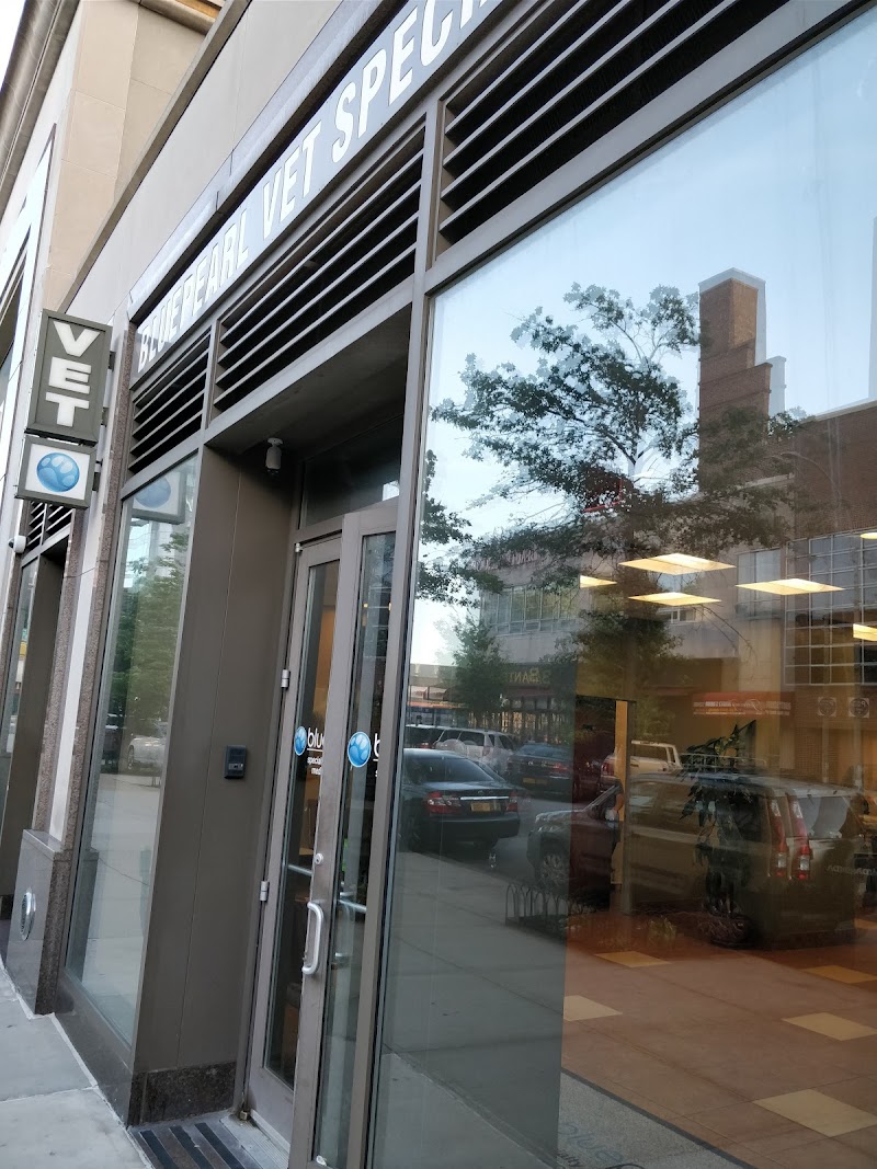 NYC Veterinary Specialists and 24 Hour Animal Emergency - Queens - New York City