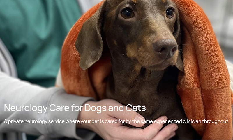 London Veterinary Neurology