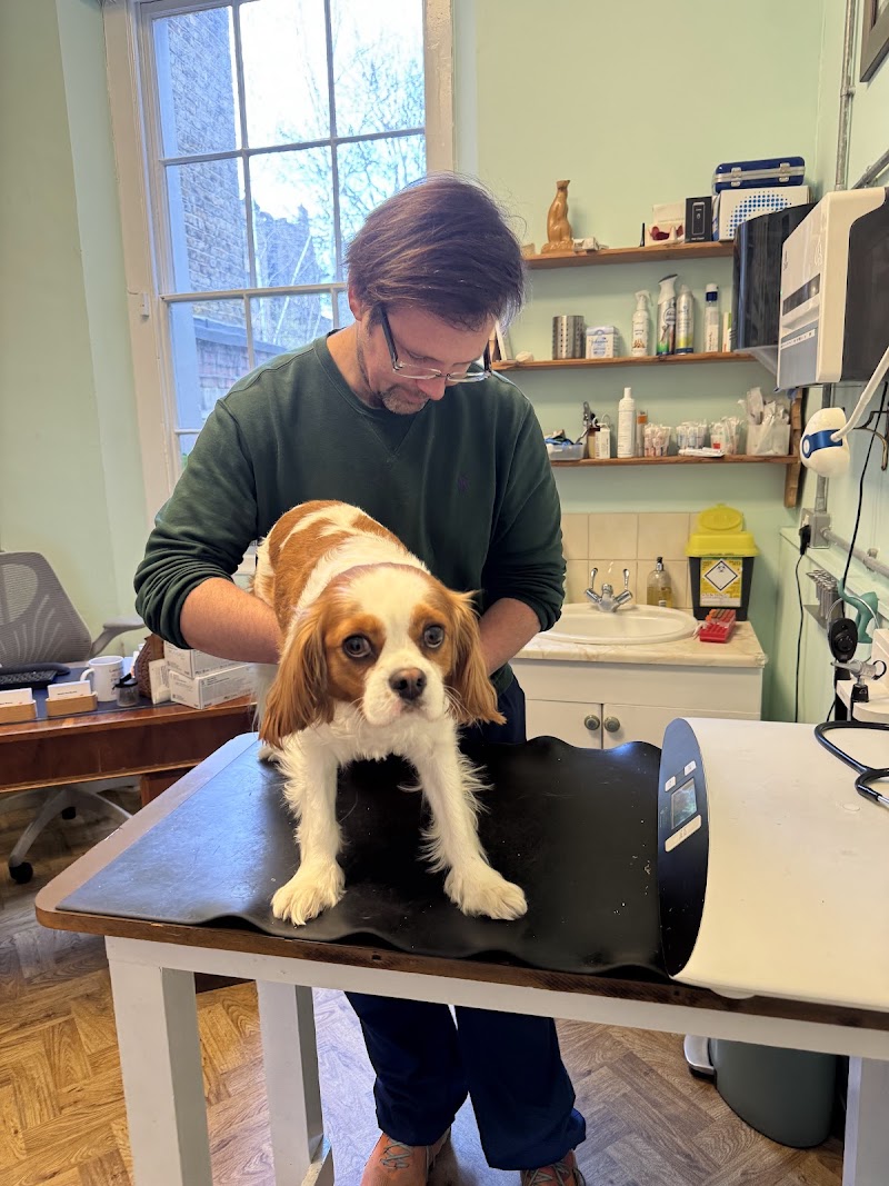 London Veterinary Neurology