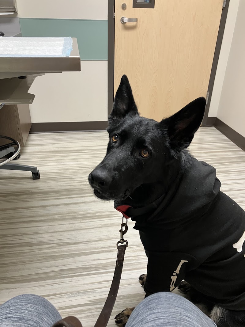 SAGE Veterinary Centers - Concord