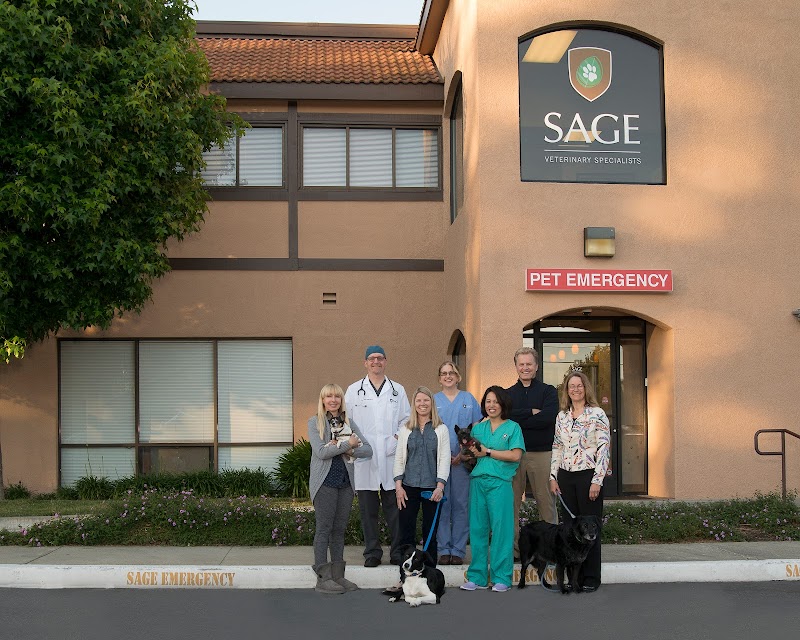 SAGE Veterinary Centers - Concord - Concord