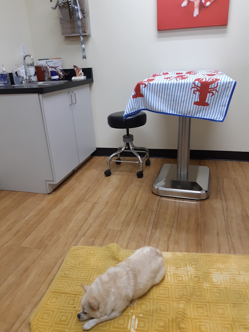 B Street Veterinary Hospital