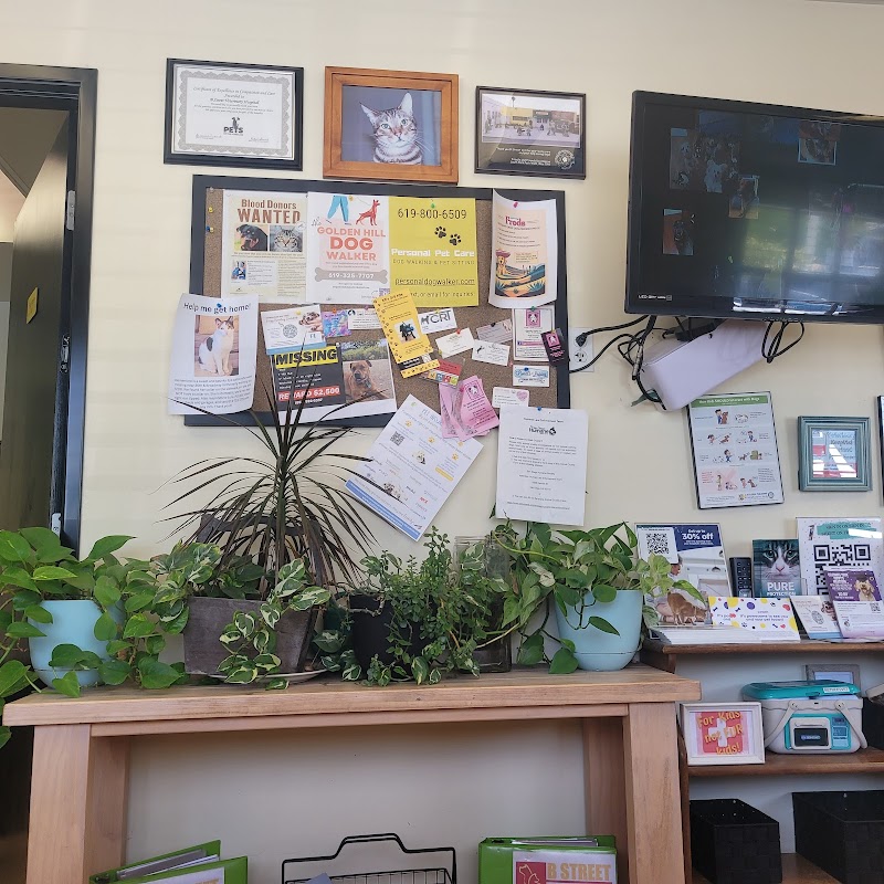 B Street Veterinary Hospital