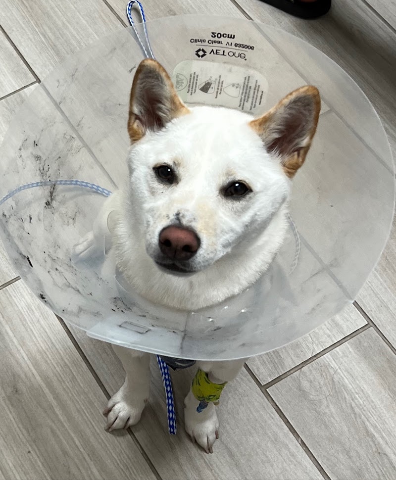 Green Acres Veterinary Center