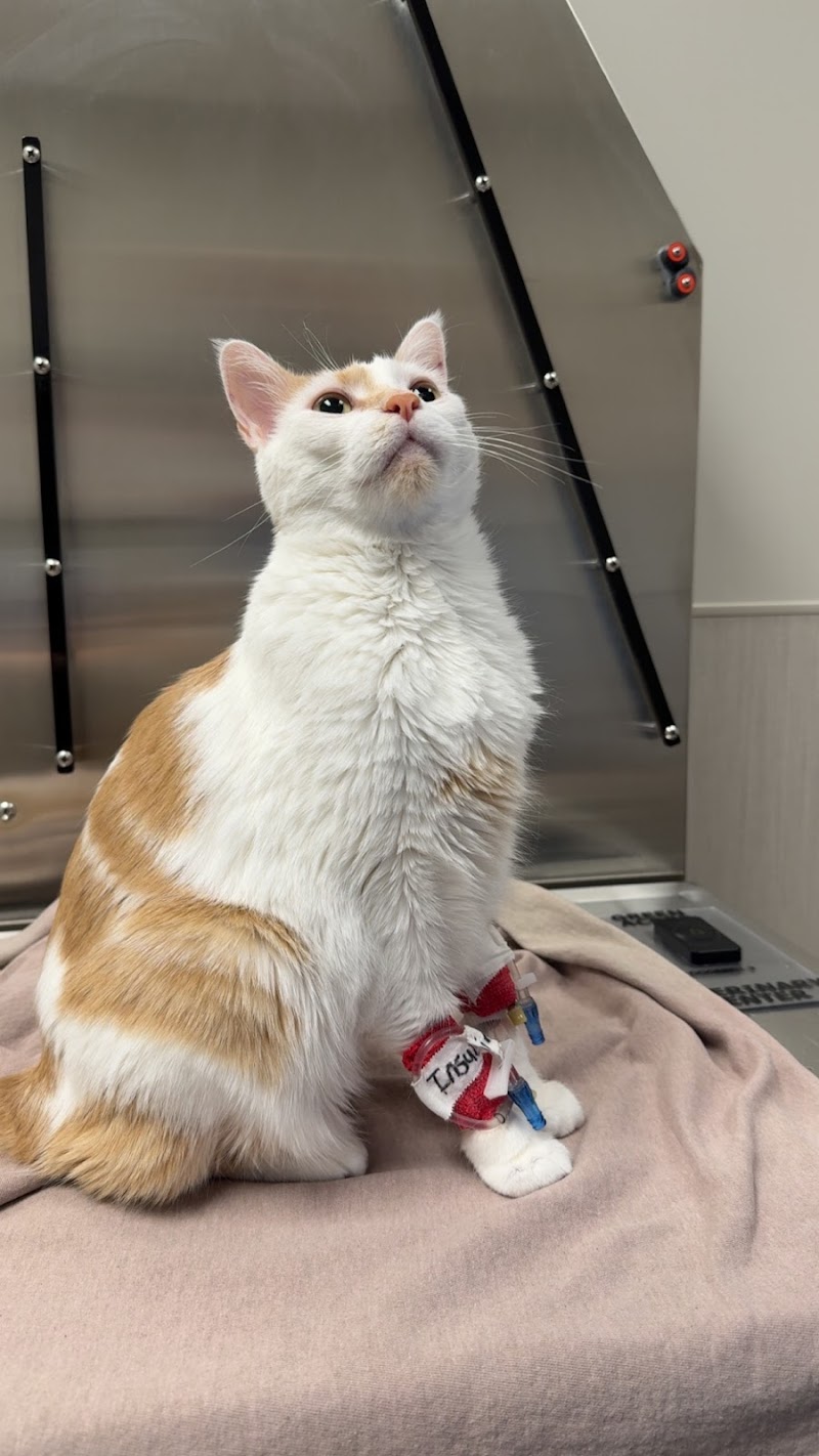 Green Acres Veterinary Center