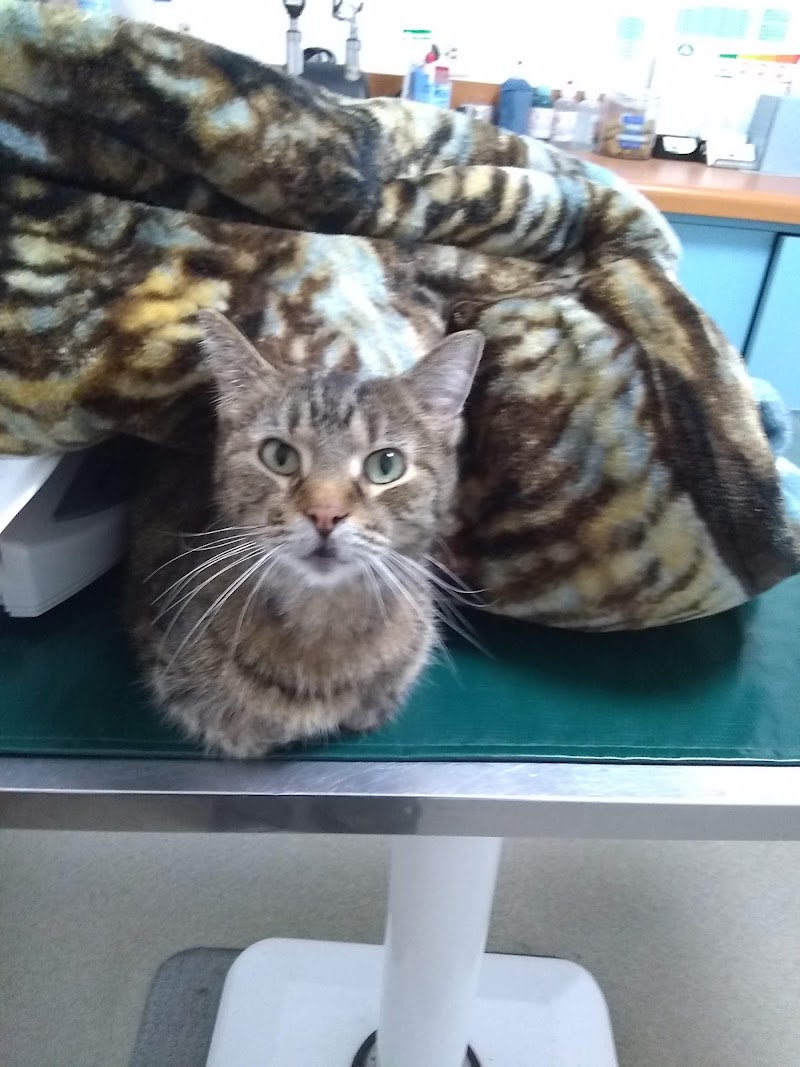 Oceanside Veterinary Hospital