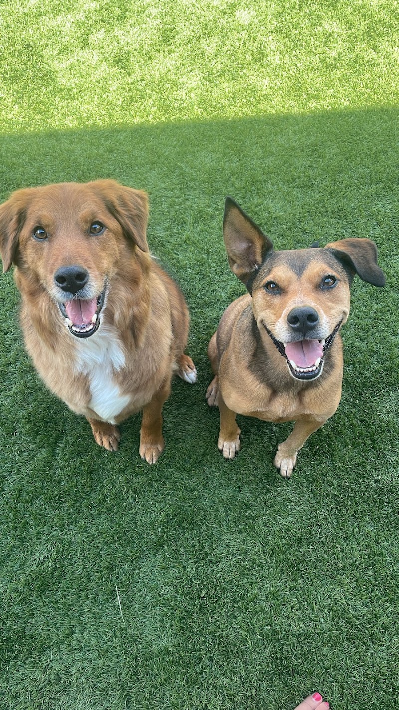 Leander Veterinary Clinic