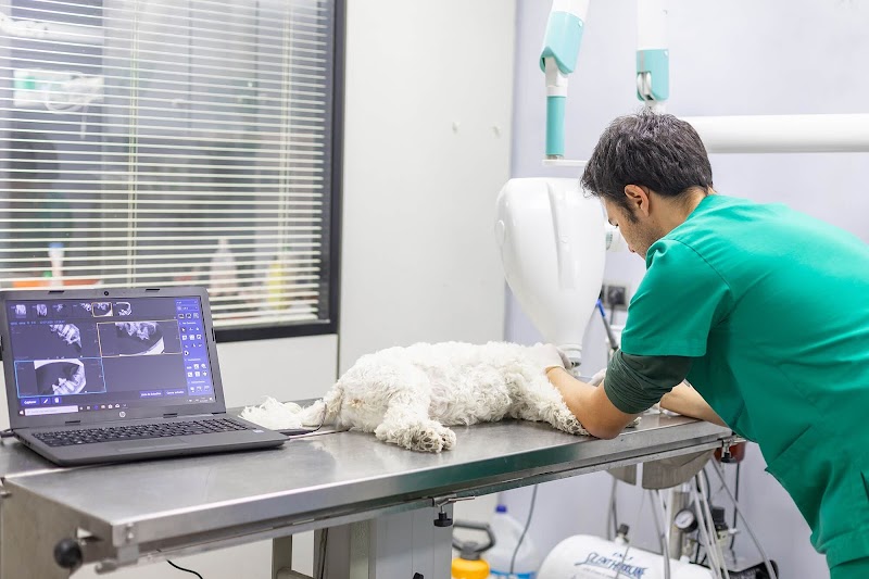 Clínica Veterinària Sant Andreu - Riera Alta