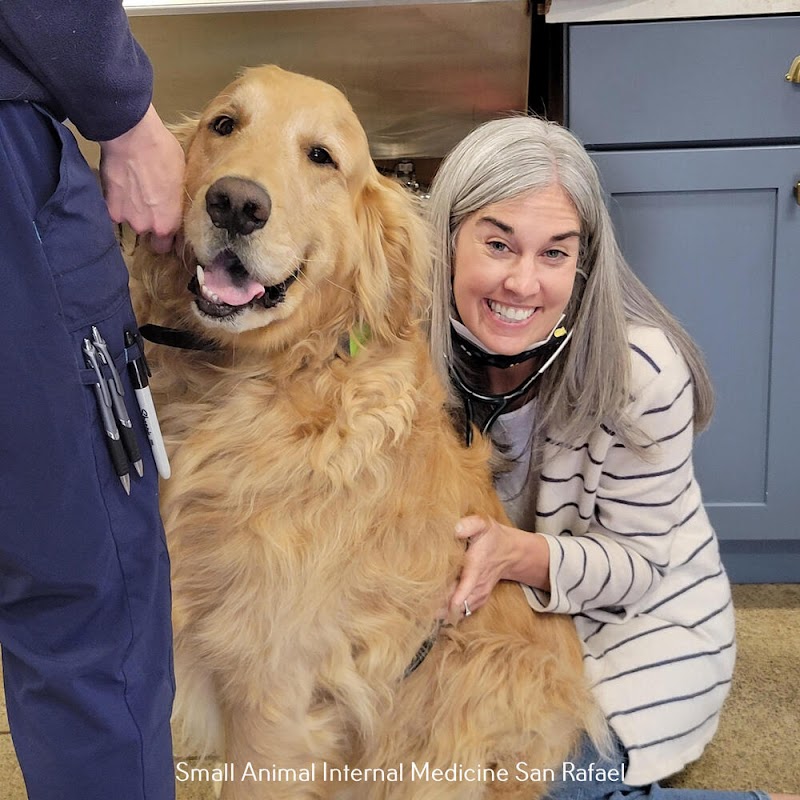 Golden Gate Veterinary Specialists - Veterinary Dermatology, Surgery, Oncology and Internal Medicine