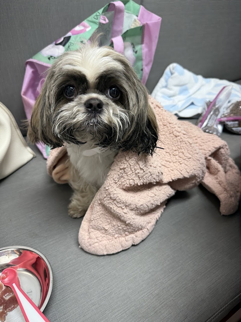 VCA Knowles Central Animal Hospital