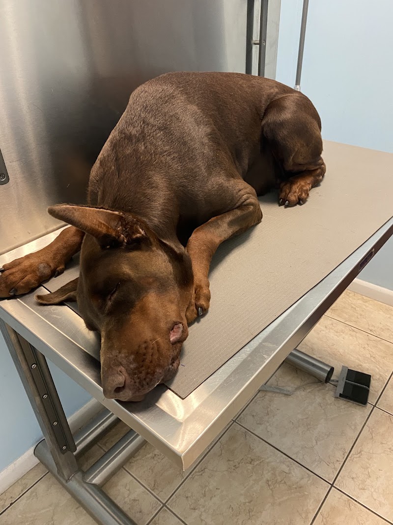 VCA Knowles Central Animal Hospital