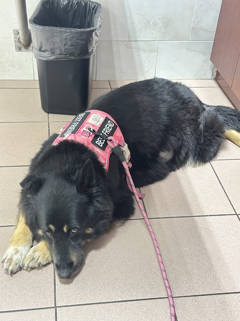 VCA Knowles Central Animal Hospital