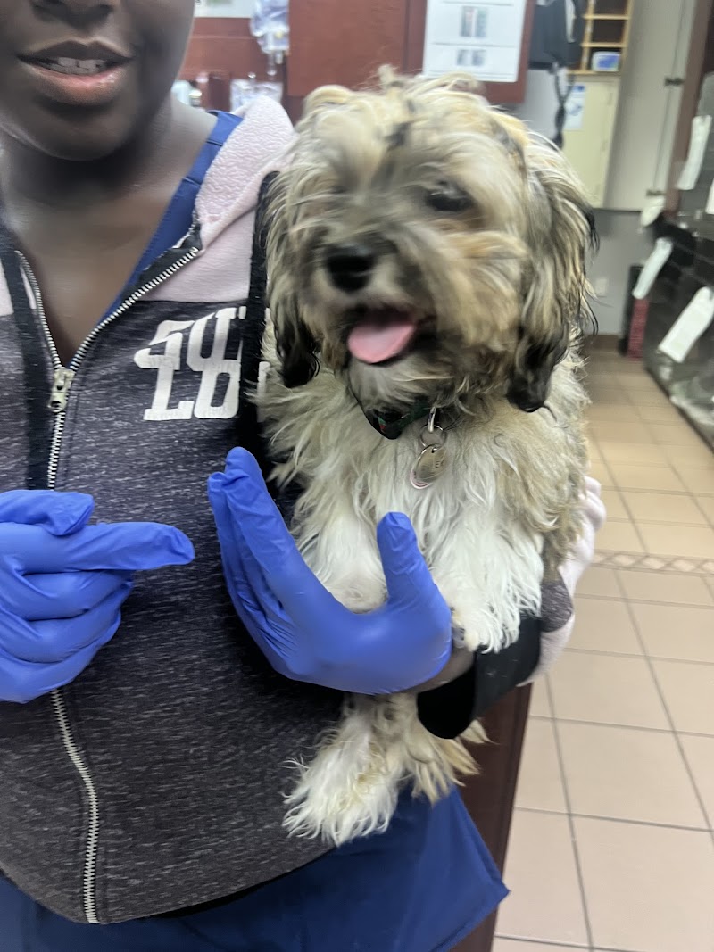 VCA Knowles Central Animal Hospital