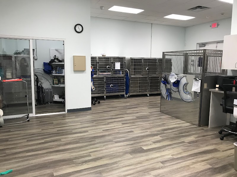 Specialists in Companion Animal Neurology (SCAN) - Clearwater