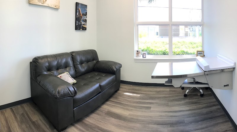 Specialists in Companion Animal Neurology (SCAN) - Clearwater
