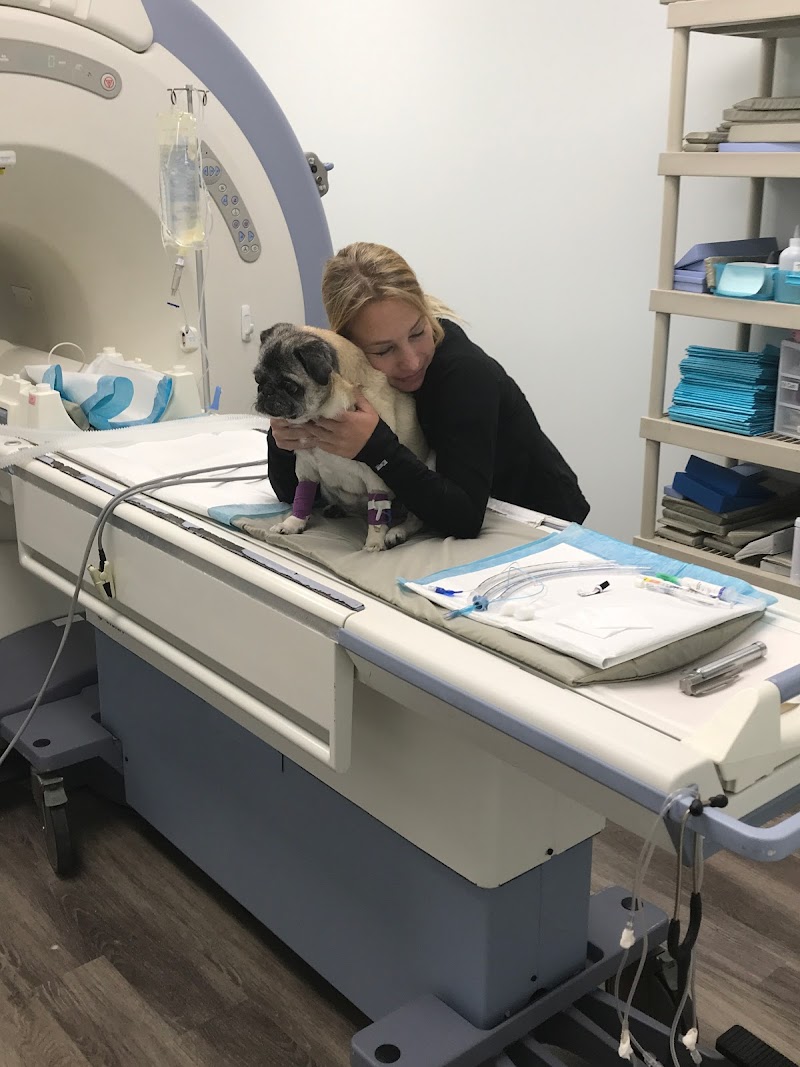 Specialists in Companion Animal Neurology (SCAN) - Clearwater