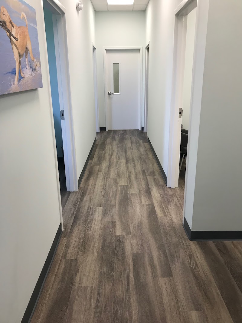 Specialists in Companion Animal Neurology (SCAN) - Clearwater