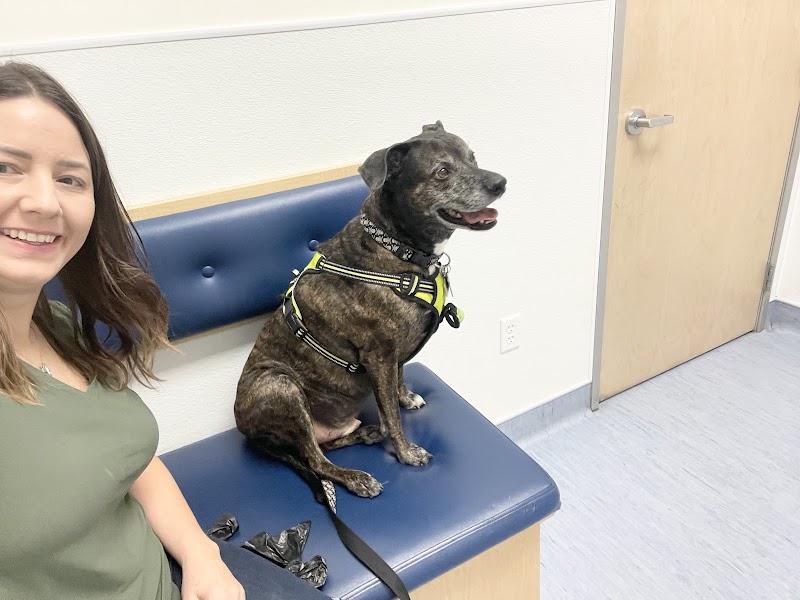 Animal Medical Center of Surprise