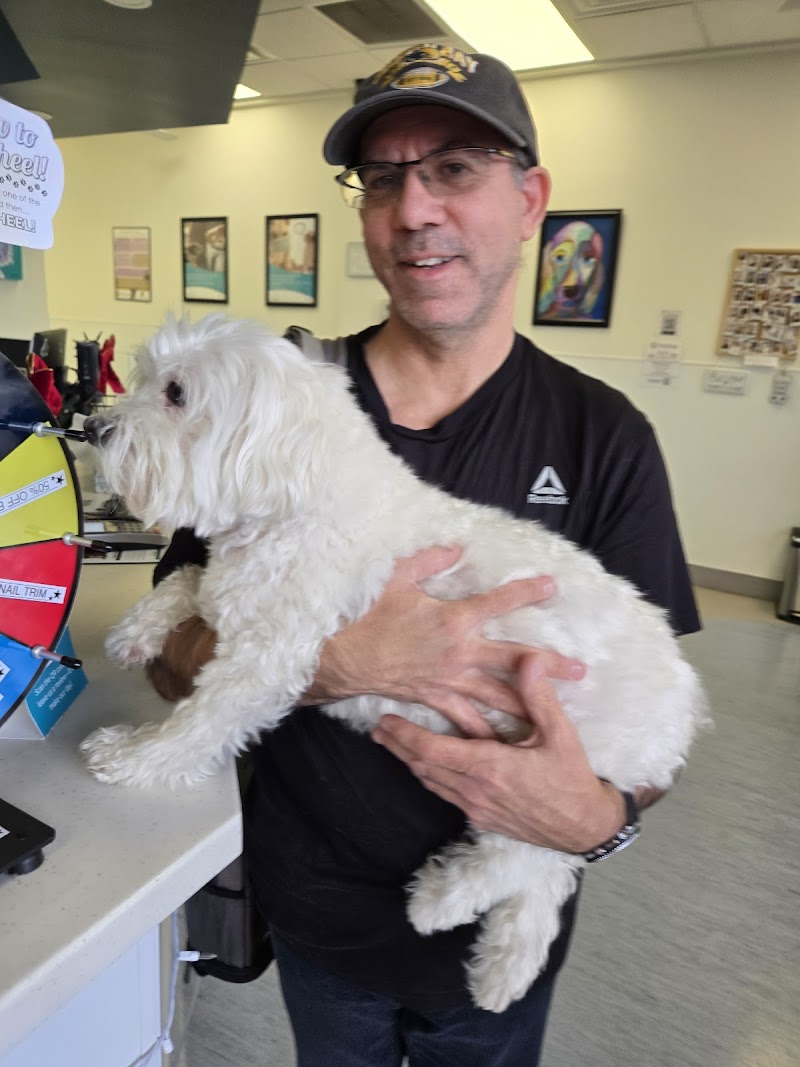 Animal Medical Center of Surprise