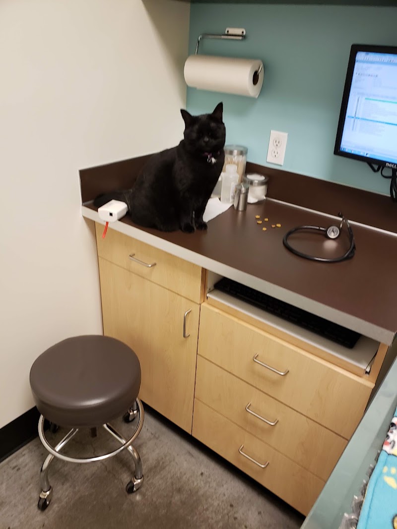 Pearl Animal Hospital