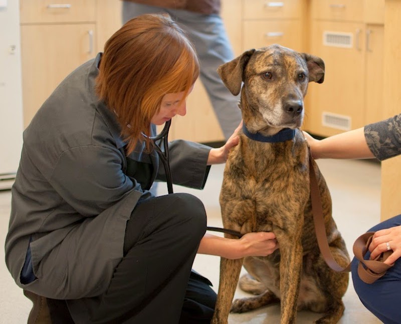 Pearl Animal Hospital