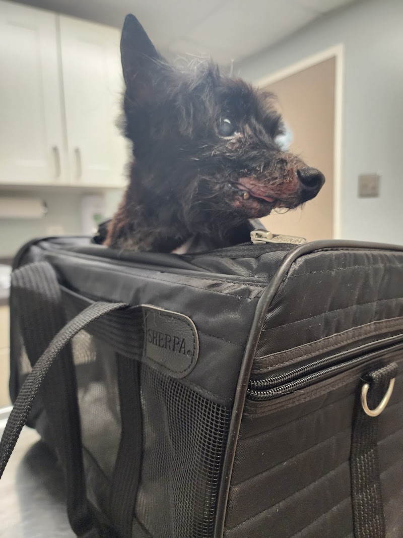 Mt Airy Animal Hospital