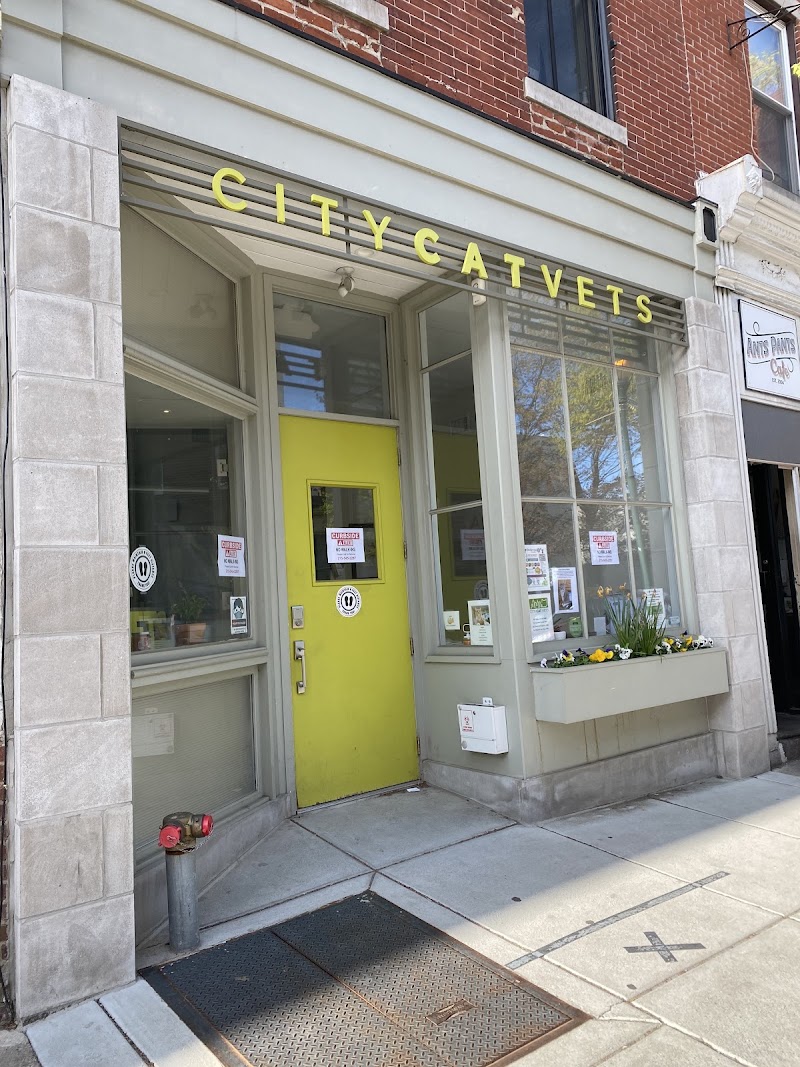 City Cat Vets - Philadelphia