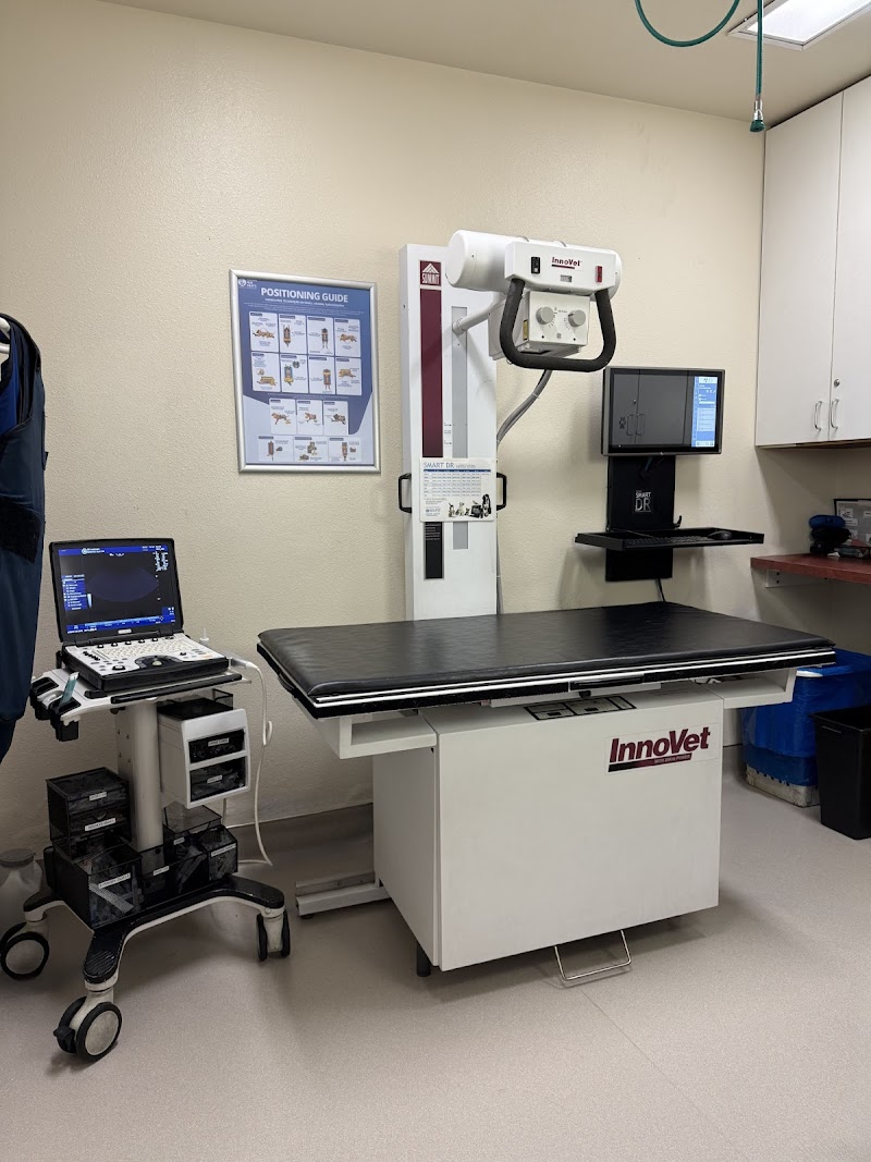 VCA Los Angeles Veterinary Specialists