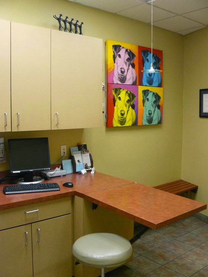 VCA Los Angeles Veterinary Specialists