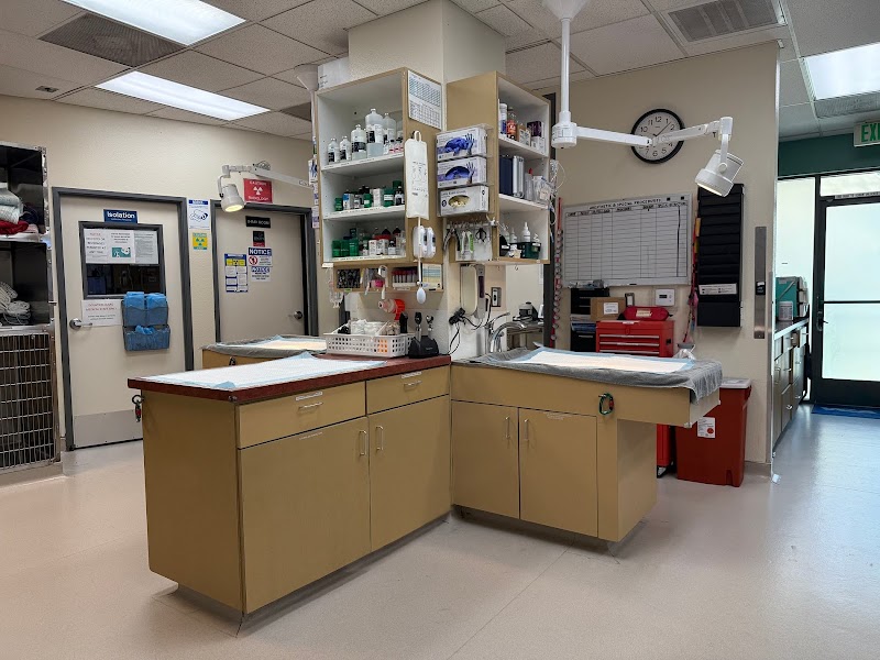 VCA Los Angeles Veterinary Specialists
