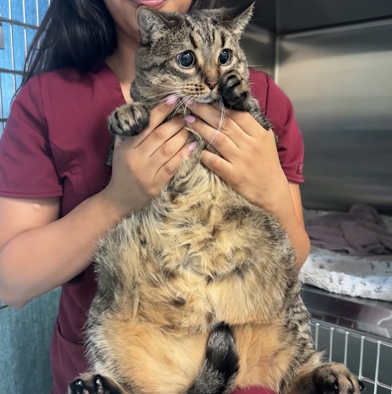 VCA TLC Animal Hospital