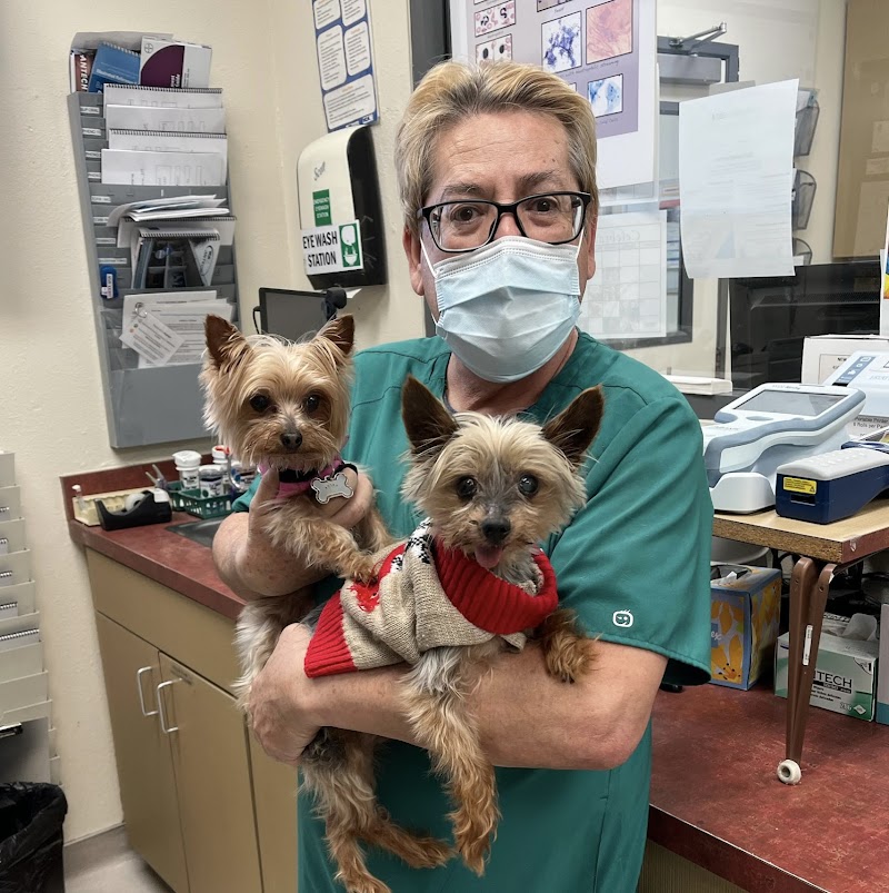 VCA TLC Animal Hospital