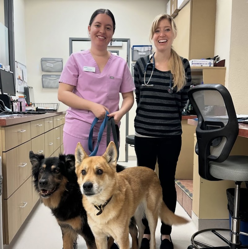 VCA TLC Animal Hospital