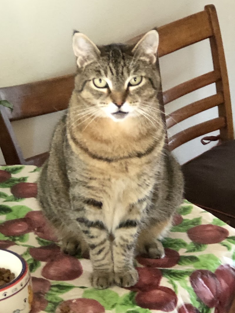 Powell Veterinary Center