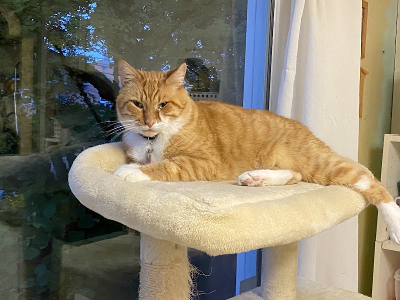 Powell Veterinary Center