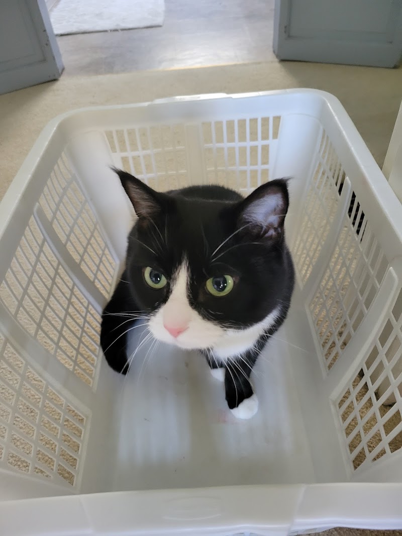Powell Veterinary Center