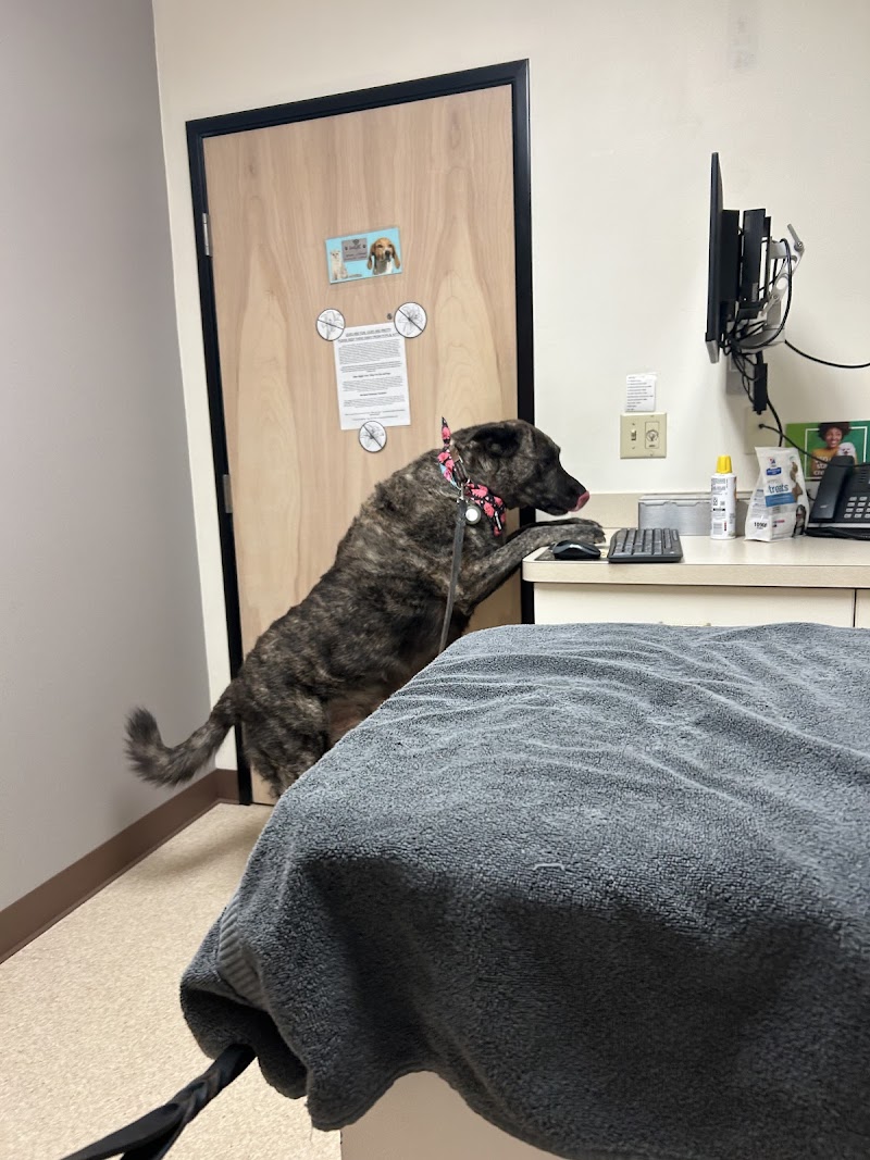 Powell Veterinary Center